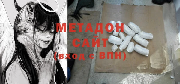 гидра Инта